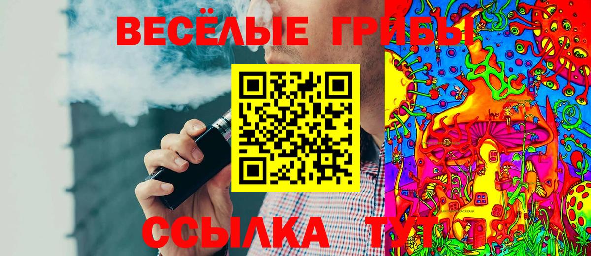 Малгобек  Галлюциногенные грибы Psilocybe  Вход с VPN 