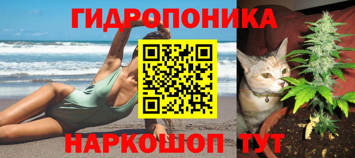 Бошки Шишки SATIVA & INDICA  Вход с VPN  Бошки марихуана гибрид  Каннабис OG Kush  Малгобек 